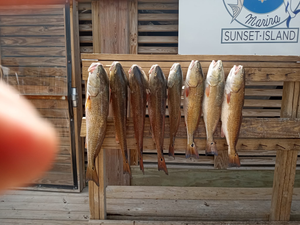 Awesome Catches from Port Aransas 